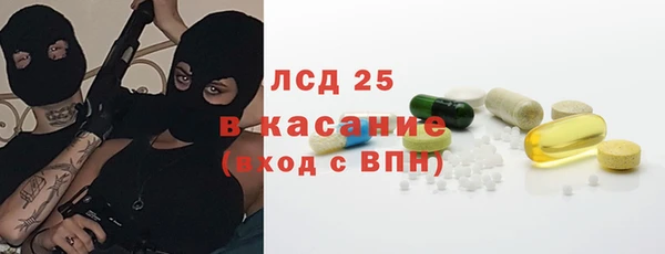 прущие грибы Армянск