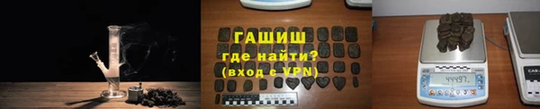 прущие грибы Армянск