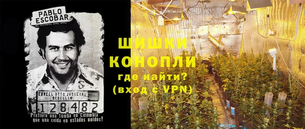прущие грибы Армянск