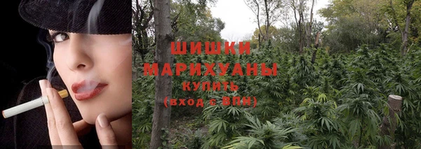 a pvp Аркадак